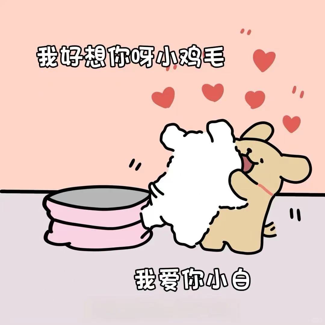 腻歪的周末